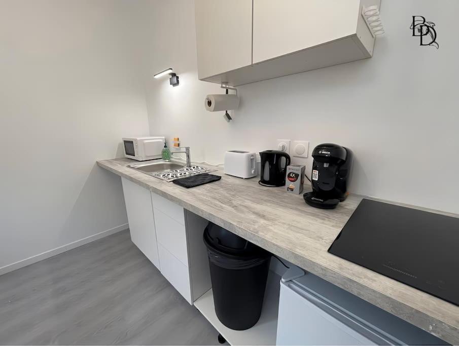 T1 Bis Appartement B3 30M2 Cosy 7Min A Pieds Des Gares Roanne Kültér fotó